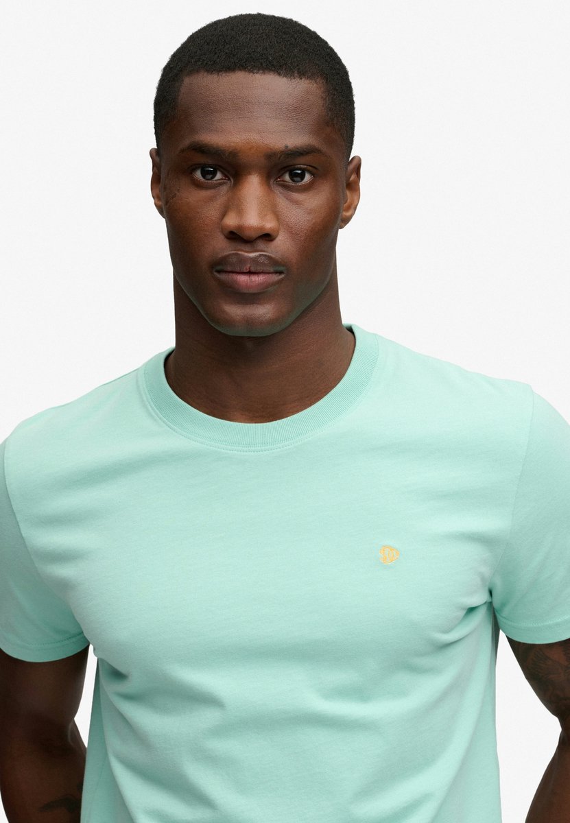 Superdry SD&Co Logo Geborduurde T-shirt Heren T-shirts Lichtgroen Spearmint/abrikoos