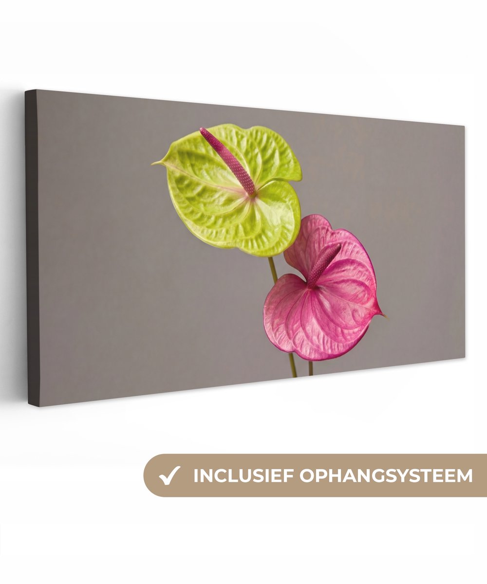 Canvas schilderij 100x50 cm - Exclusieve wanddecoratie Planten - Anthurium - Groen - Roze - Muurdecoratie woonkamer - Slaapkamer decoratie - Kamer accessoires - Schilderijen op canvas