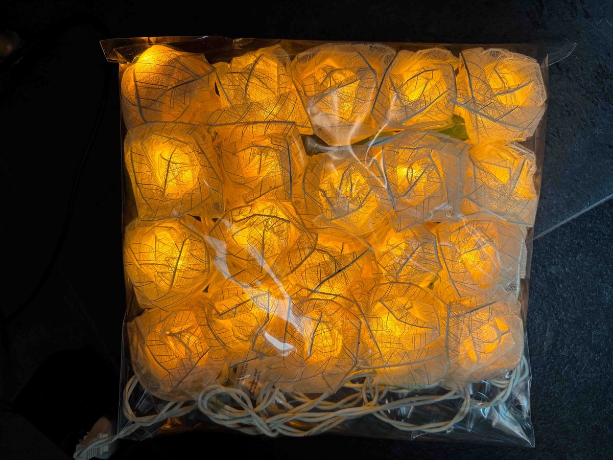 Lichtslinger met witte rozen - LED- 3 meter