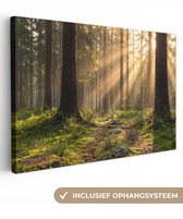 Canvas schilderij 120x80 cm - Exclusieve wanddecoratie Bos - Zonlicht - Gras - Muurdecoratie woonkamer - Slaapkamer decoratie - Kamer accessoires - Schilderijen op canvas