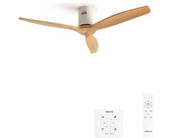 CREATE - Stille 40W plafondventilator met technische ABS bladen in verschillende maten - S - Geen licht - Controller voor wandmontage - WIND CALM
