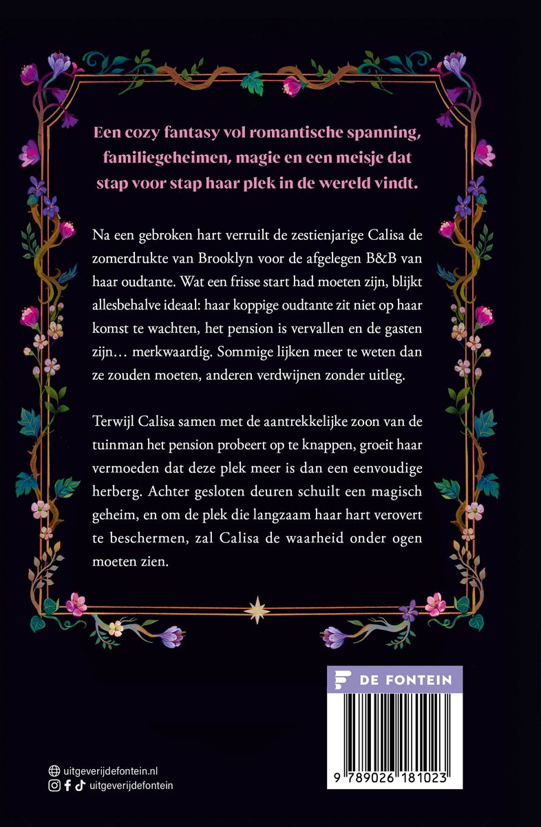 The Faraway Inn - back cover