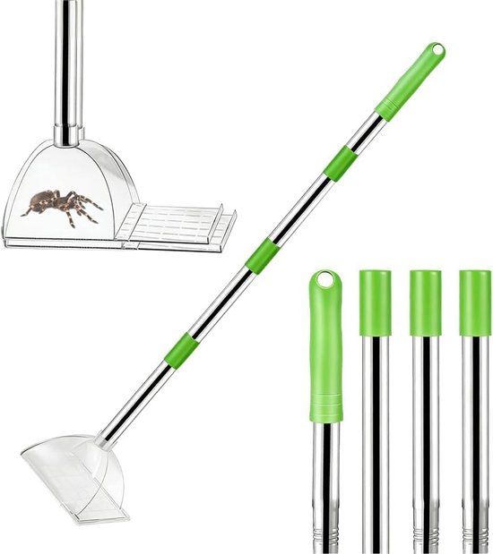 Diervriendelijke Spinnenvanger - 83cm Extra Lang Handvat - 4-delige Verstelbare Steel - Transparante Insectenvanger - Insectenvanger voor Plafonds & Buiten - Groen