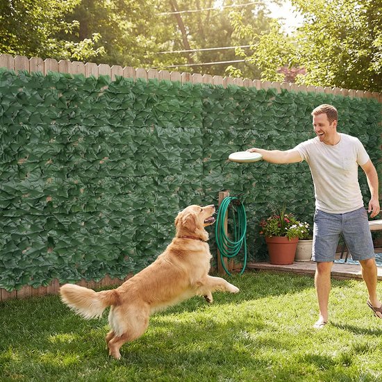 Een man en zijn hond spelen frisbee in de achtertuin, omheind door een donkergroene kunsthaag.