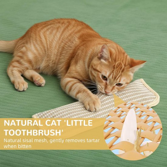 Upgrade Kattenspeelgoed – Kauwtouwen Met Navulbaar Kattenkruid, Veilig Voor Tandreiniging, Interactief Voor Alle Rassen (set 3 Stuks)