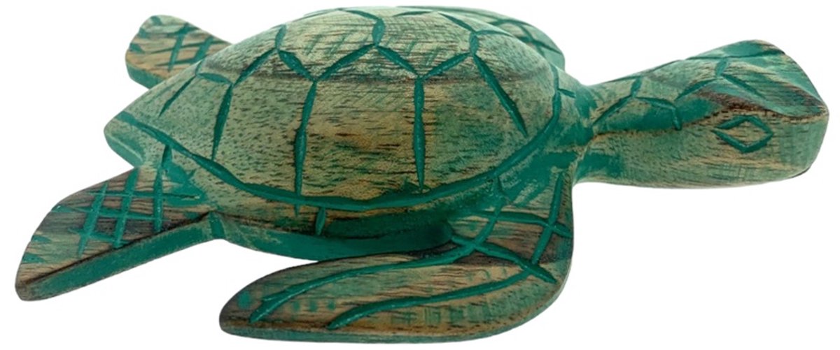 Schildpad turquoise S