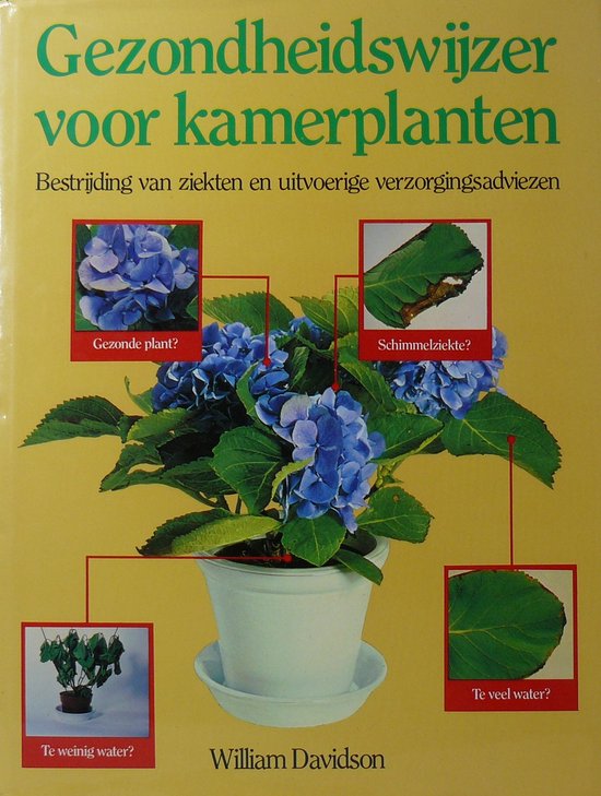 Gezondheidswijzer voor kamerplanten
