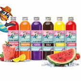 Airlux Slush Puppy Siroop - Slush Siroop - 6 Verschillende Smaken - 6x250ml - Slush Puppy - Slush Puppy Maker - Slush Puppy Siroop - Kola - Bosbessen - Sinaasappel - Cassis - Aardbei - Citroen