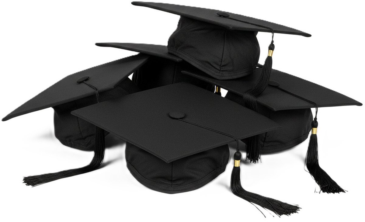 Boland Afstudeer hoed/muts geslaagd - 4x - zwart - voor volwassenen - Examen diploma uitreiking feestartikelen