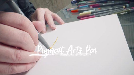 STAEDTLER - Artist Series - pigment brush pen set 12 kleuren Nature colours