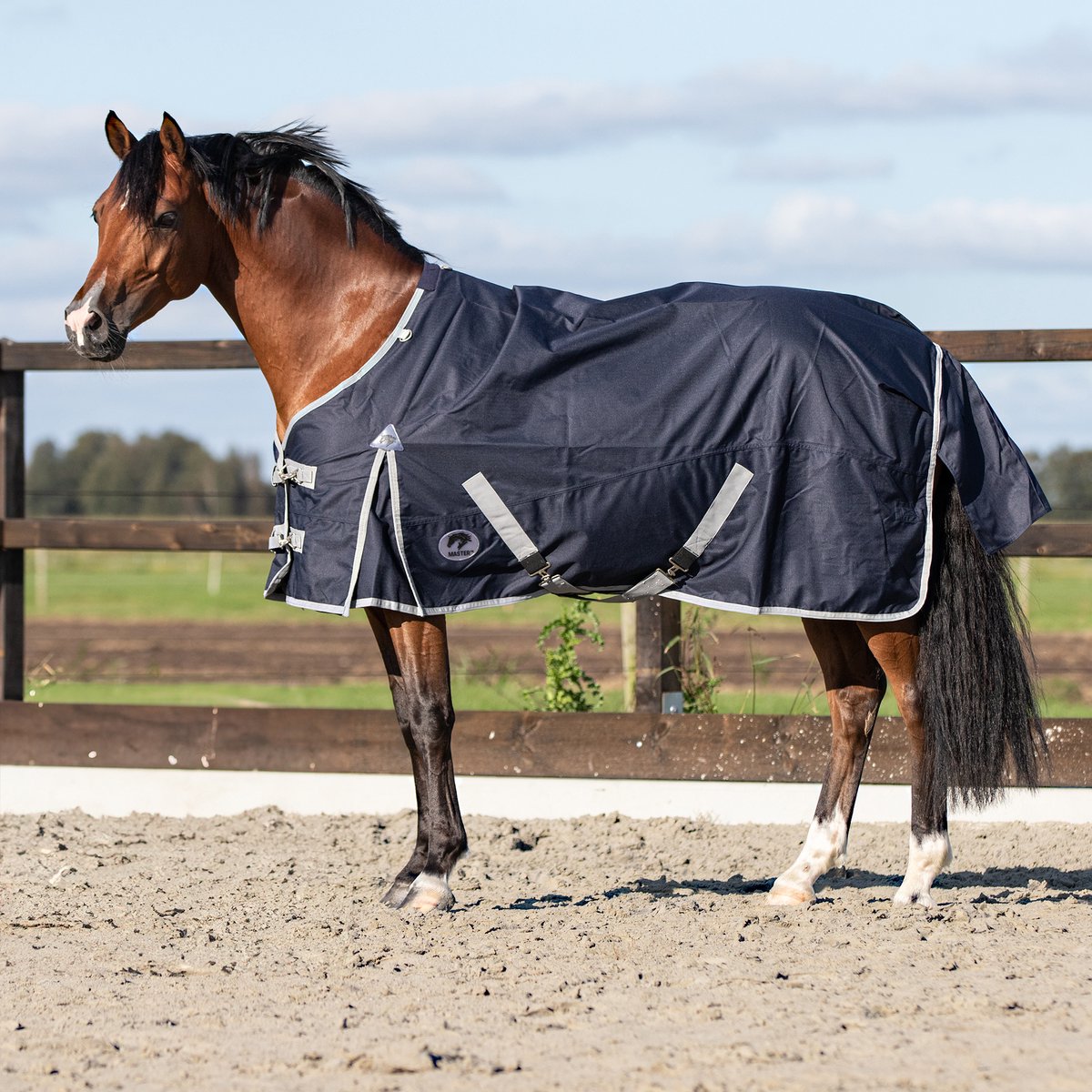 Master Regendeken Navy-165-215