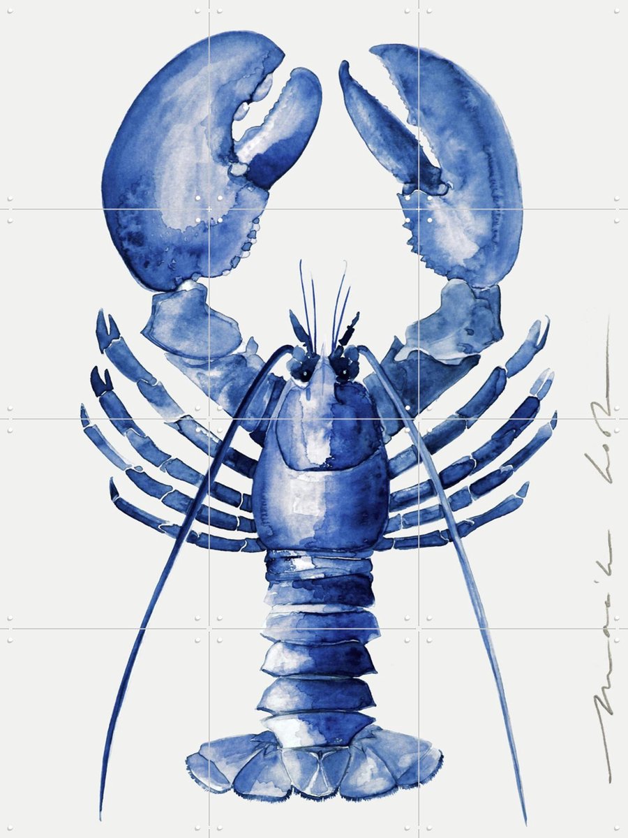 IXXI Lobster - blue, Maaike Koster & My Deer Art Shop - 60 x 80 cm - Gratis ophangtool - Grote wanddecoratie en posters - Realisme, Illustraties