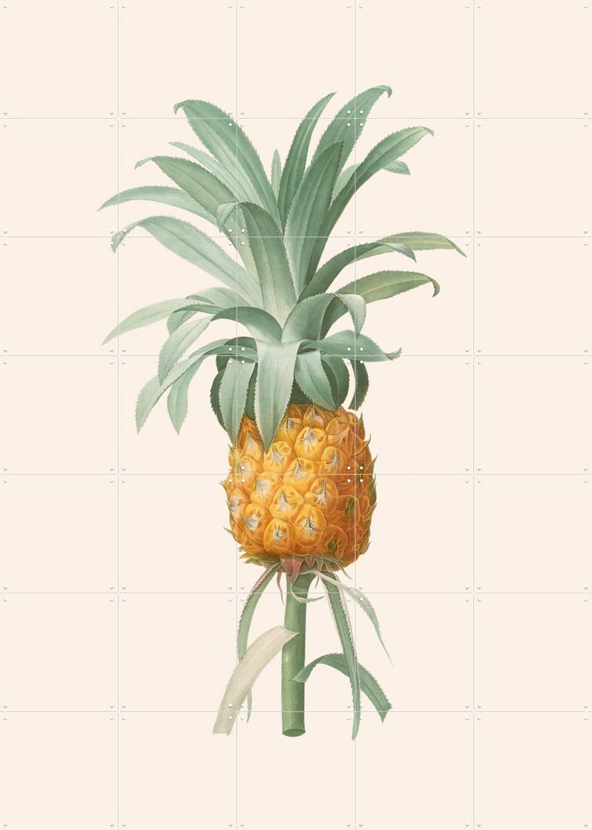 IXXI Ananas, Aster Edition - 100 x 140 cm - Gratis ophangtool - Grote wanddecoratie en posters - Vintage, Illustraties, Naturalisme, Keuken