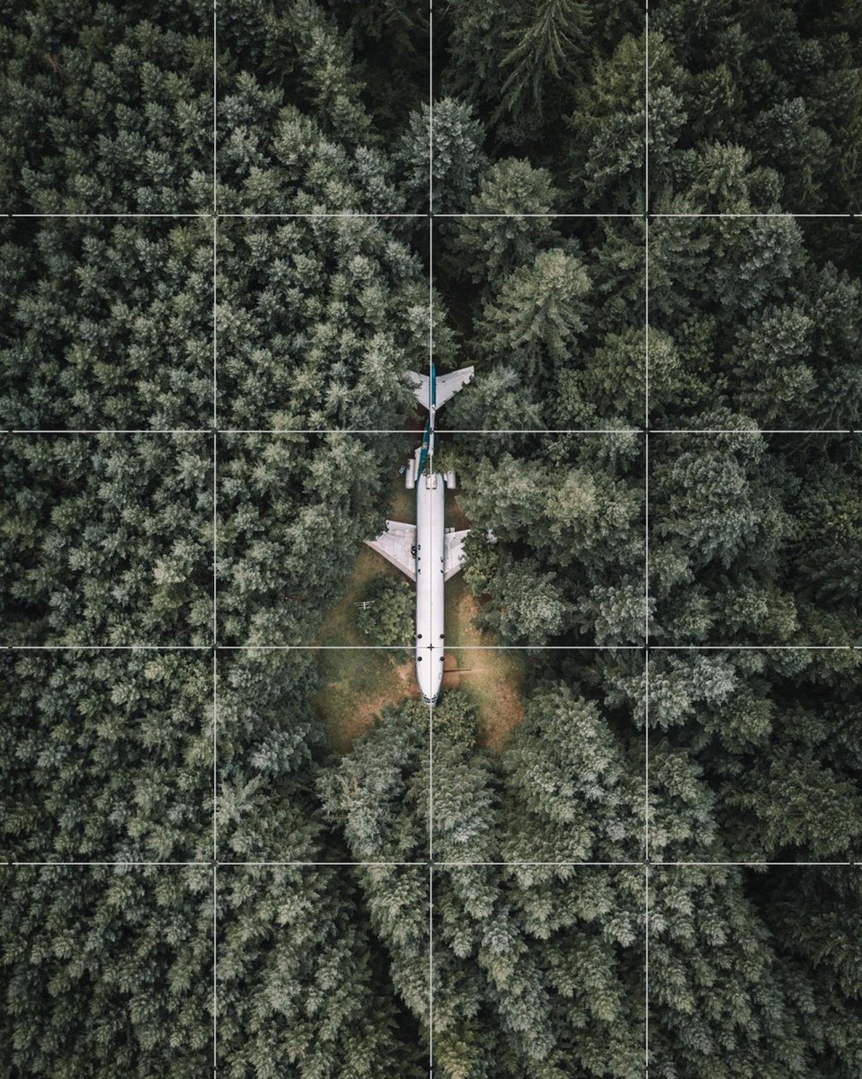 IXXI Airplane Home, Tristan Zhou - 80 x 100 cm - Gratis ophangtool - Grote wanddecoratie en posters - Fotografie, Woonkamer, Mancave, Bomen, Natuur