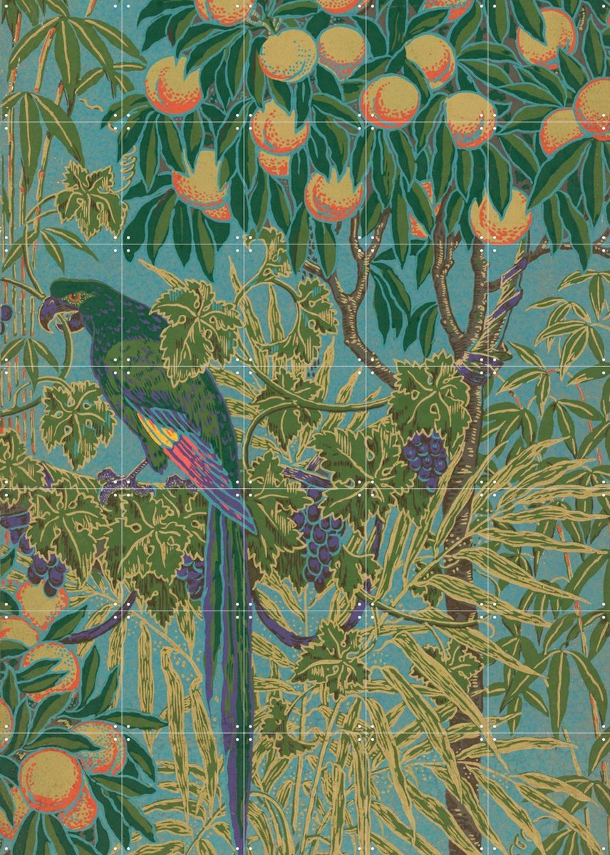 IXXI Macaw, Walter Crane & Victoria and Albert Museum - 100 x 140 cm - Gratis ophangtool - Grote wanddecoratie en posters - Klassiek, Illustraties
