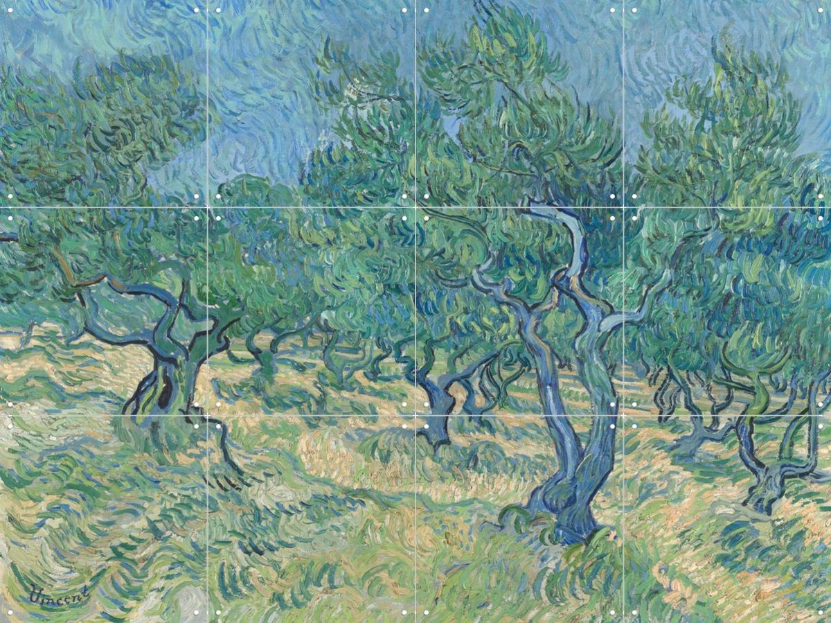 IXXI Olijfgaard, Vincent van Gogh (1853 - 1890) & Kröller-Müller Museum - 80 x 60 cm - Gratis ophangtool - Grote wanddecoratie en posters -