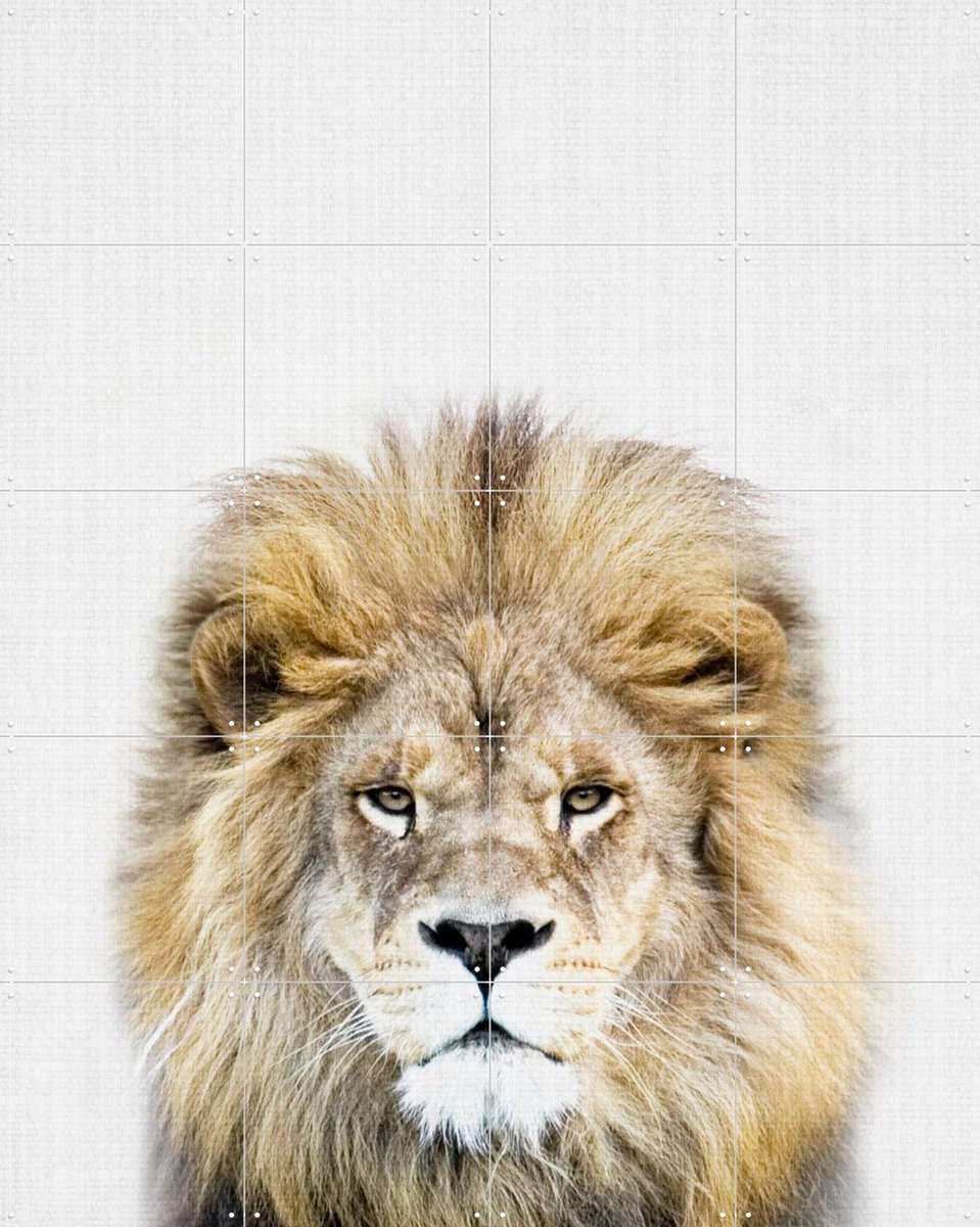 IXXI Print 326 Lion, Lila + Lola - 80 x 100 cm - Gratis ophangtool - Grote wanddecoratie en posters - Realisme, Fotografie, Babykamer, Kinderkamer
