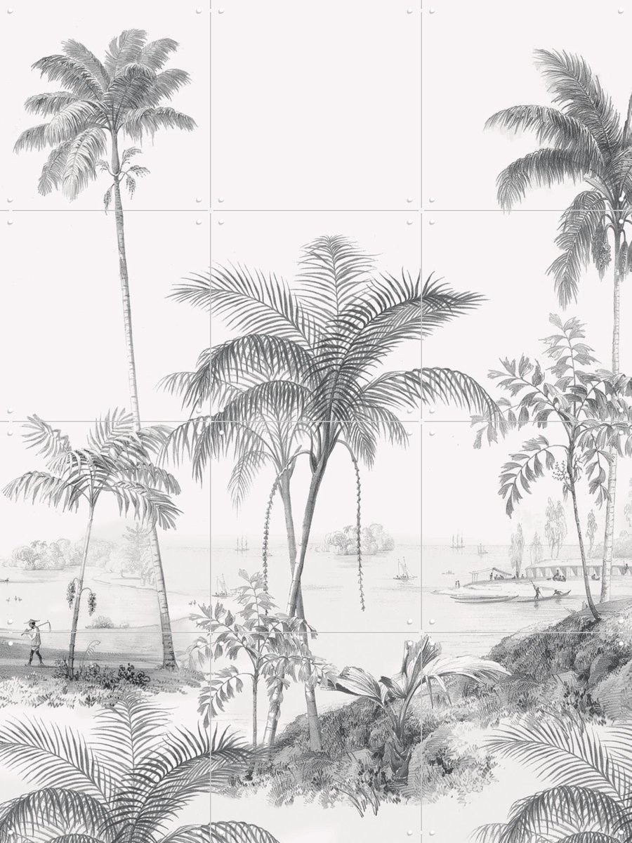 IXXI Exotic Palm, Creative Lab Amsterdam - 60 x 80 cm - Gratis ophangtool - Grote wanddecoratie en posters - Naturalisme, Illustraties, Woonkamer