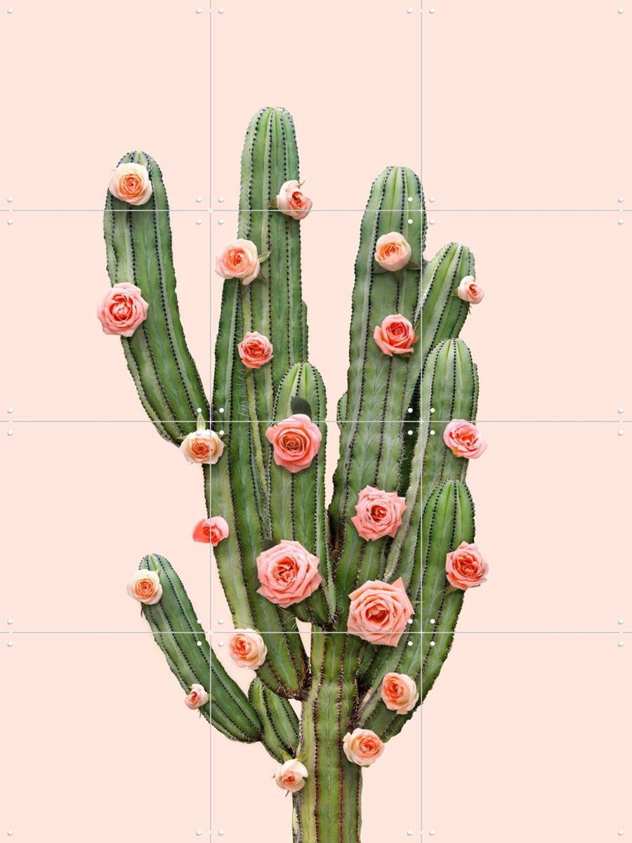 IXXI Cactus and Roses, Paul Fuentes - 60 x 80 cm - Gratis ophangtool - Grote wanddecoratie en posters - Digitale Kunst, Fotografie, Speels, Pop art