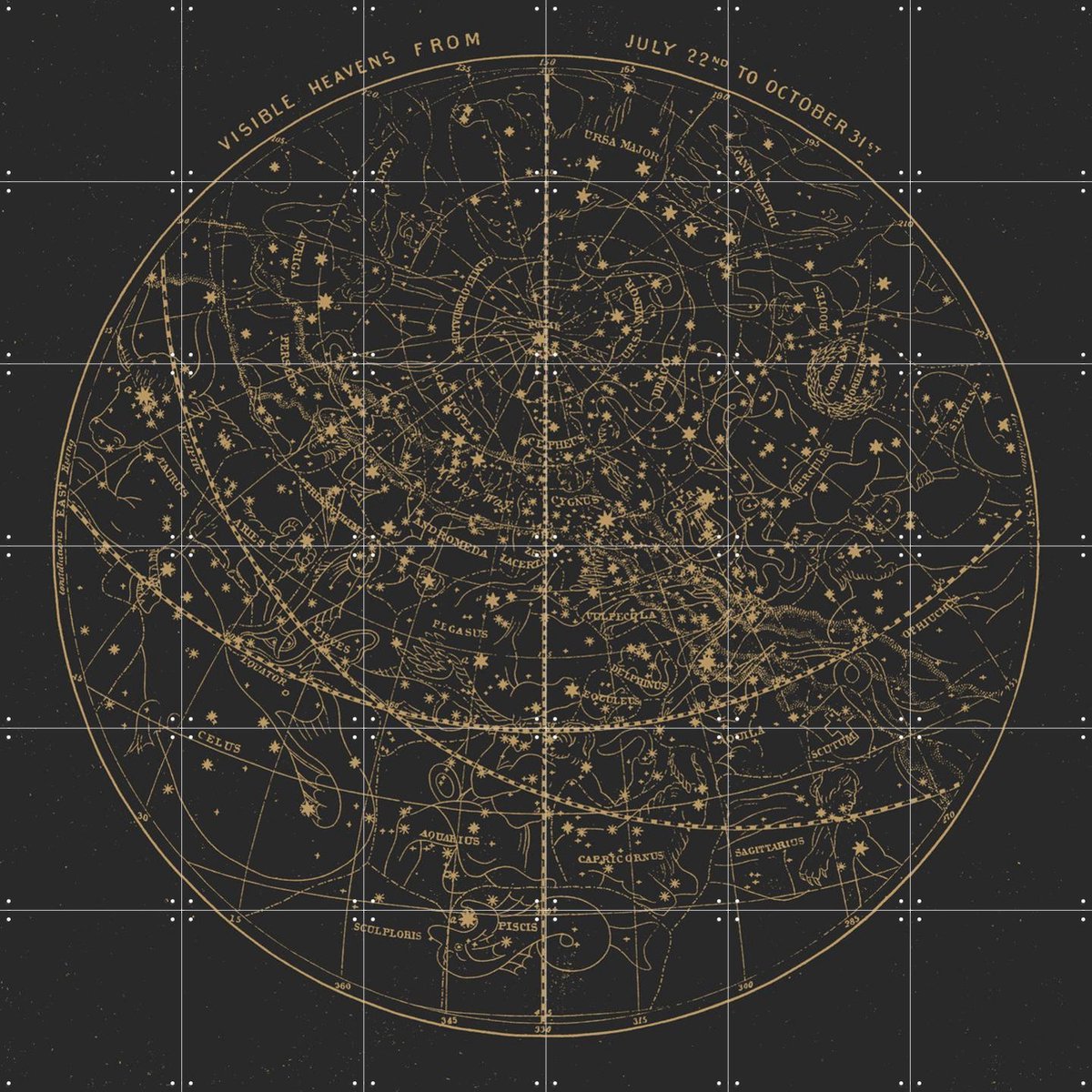 IXXI Visible Heavens Dark, Aster Edition - 120 x 120 cm - Gratis ophangtool - Grote wanddecoratie en posters - Illustraties, Technische Tekening