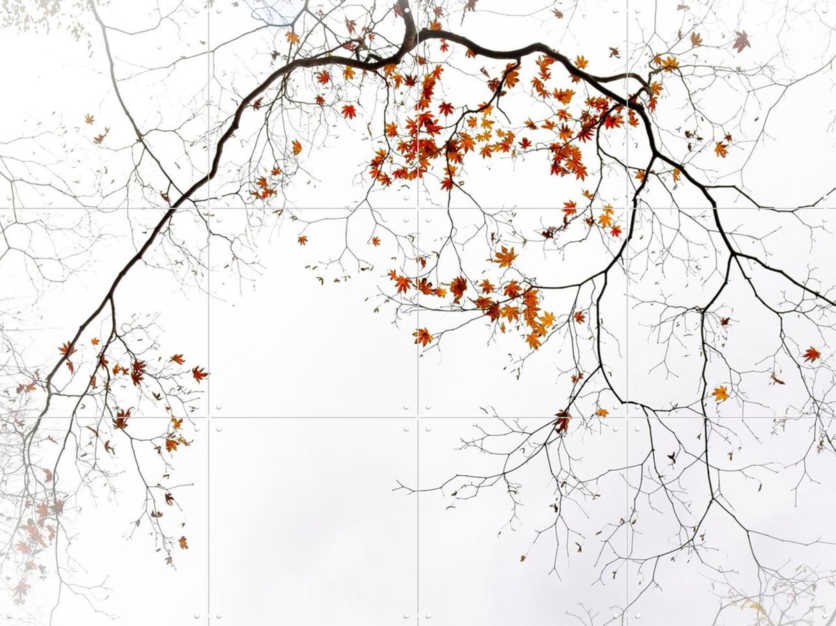 IXXI Sensitive, Various - 80 x 60 cm - Gratis ophangtool - Grote wanddecoratie en posters - Minimalisme, Fotografie, Slaapkamer, Woonkamer, Herfst