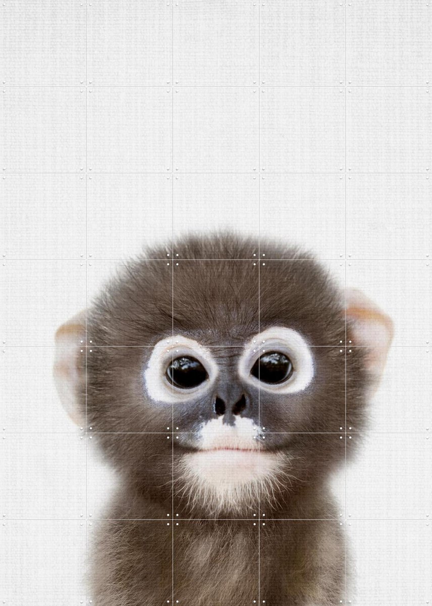 IXXI Baby Monkey, Lila + Lola - 100 x 140 cm - Gratis ophangtool - Grote wanddecoratie en posters - Fotografie, Speels, Babykamer, Kinderkamer
