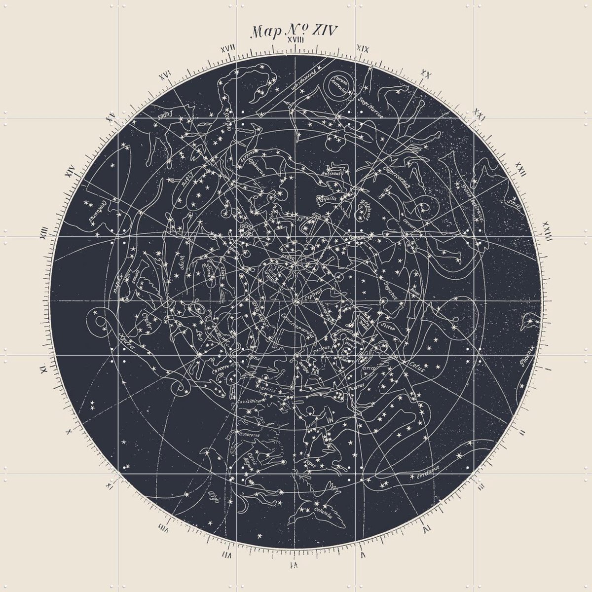 IXXI Map n°XIV, Aster Edition - 100 x 100 cm - Gratis ophangtool - Grote wanddecoratie en posters - Technische Tekening, Illustraties, Vintage