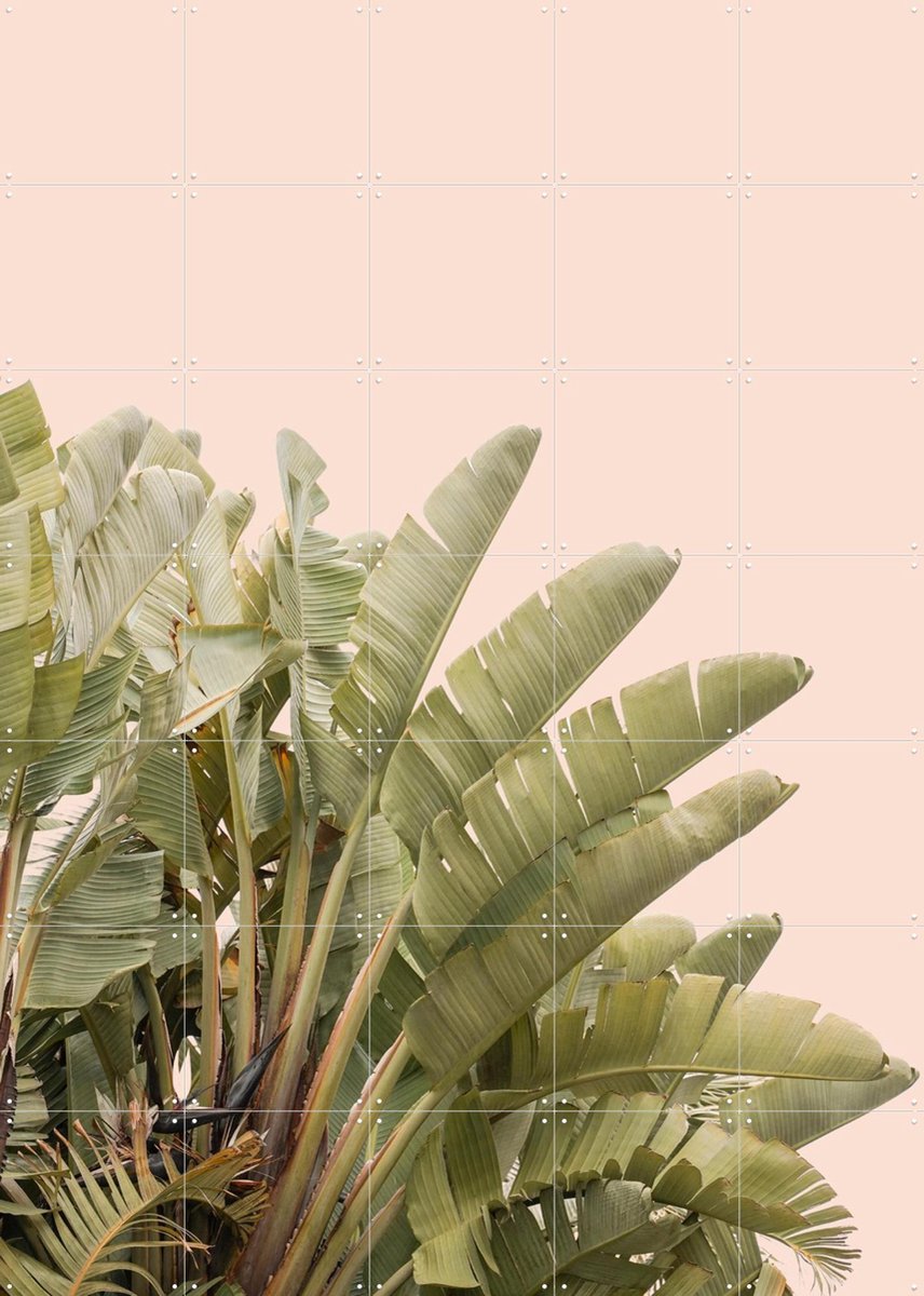 IXXI Tropical Leaves, Henrike Schenk - 100 x 140 cm - Gratis ophangtool - Grote wanddecoratie en posters - Fotografie, Minimalisme, Woonkamer