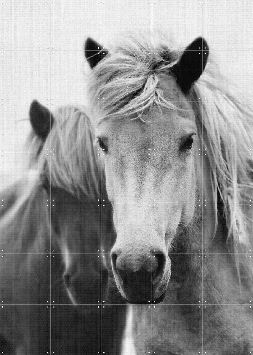 IXXI Print 180 Horses, Lila + Lola - 100 x 140 cm - Gratis ophangtool - Grote wanddecoratie en posters - Fotografie, Woonkamer, Dieren, Natuur
