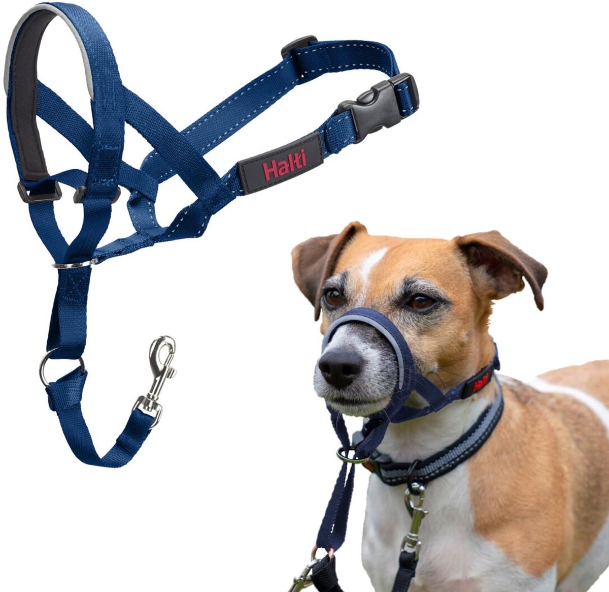 Halti Headcollar - Cobalt Blue - Maat 1