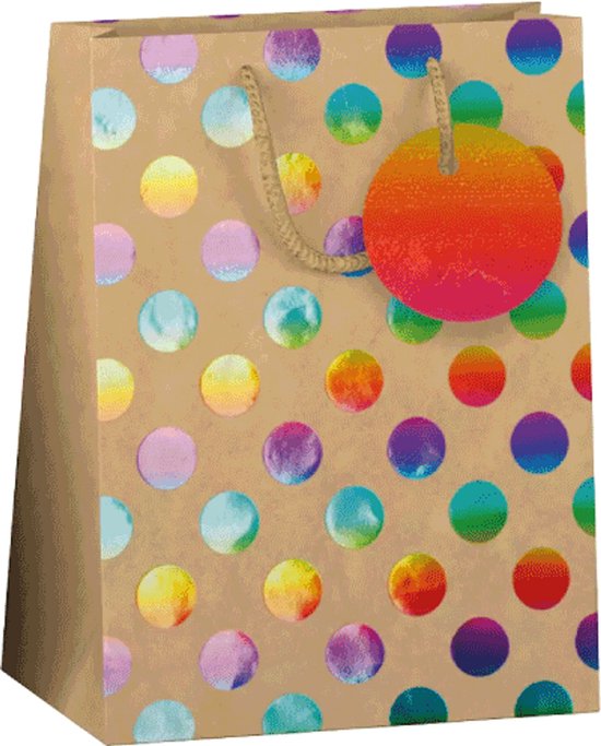 Papieren cadeau tas M Kraft Rainbow