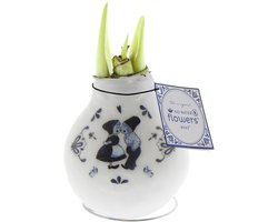 Wax Amaryllis Crafts Delfts Blauw Kiss | 1 stuk | Prachtige Wax Amaryllis voor