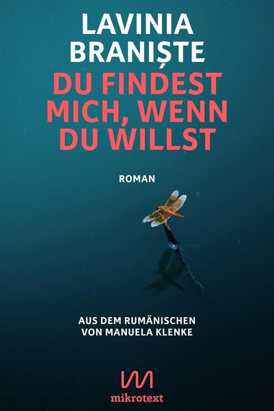 Du findest mich, wenn du willst - cover