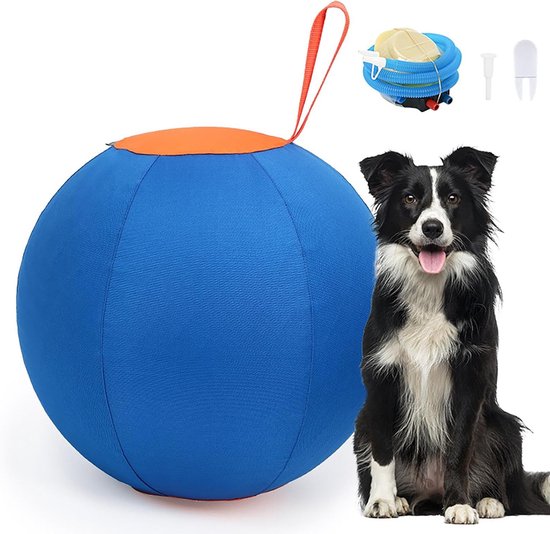 Blauwe bal met oranje band, pomp en accessoires, naast een zittende bordercollie.