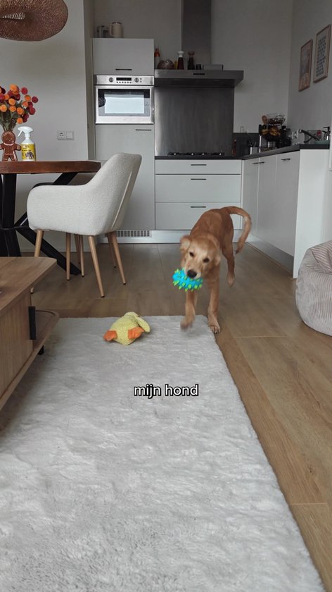 Excellent Pets Tandpasta Huisdieren 60 gr - Geschikt voor Hond en Kat - Poeder - Gebitsverzorging voor dieren - Mondconditie - Dental Oral Care