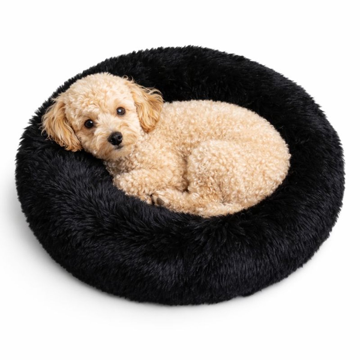 Bol.com Dailyibed hondenmand - donut - hondenkussen - hondenbed - M - 50x50x16 cm - Zwart aanbieding
