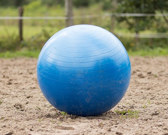 QHP Paardenvoetbal Blauw - One size QHP Paardenvoetbal Blauw - One size