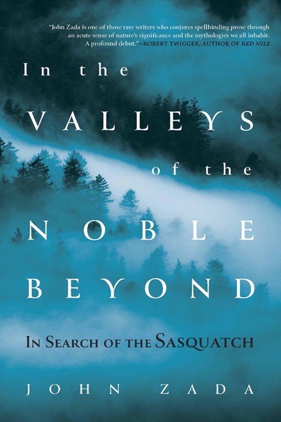 In the Valleys of the Noble Beyond - cover