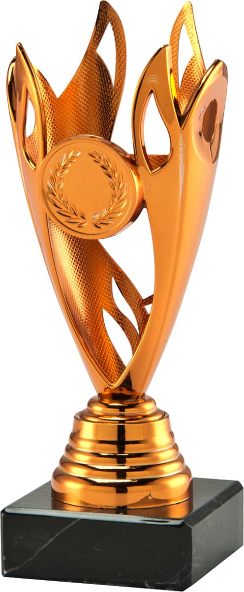 Bronzen trofee - sportprijs - prijs voor jong en oud - 15.5 cm