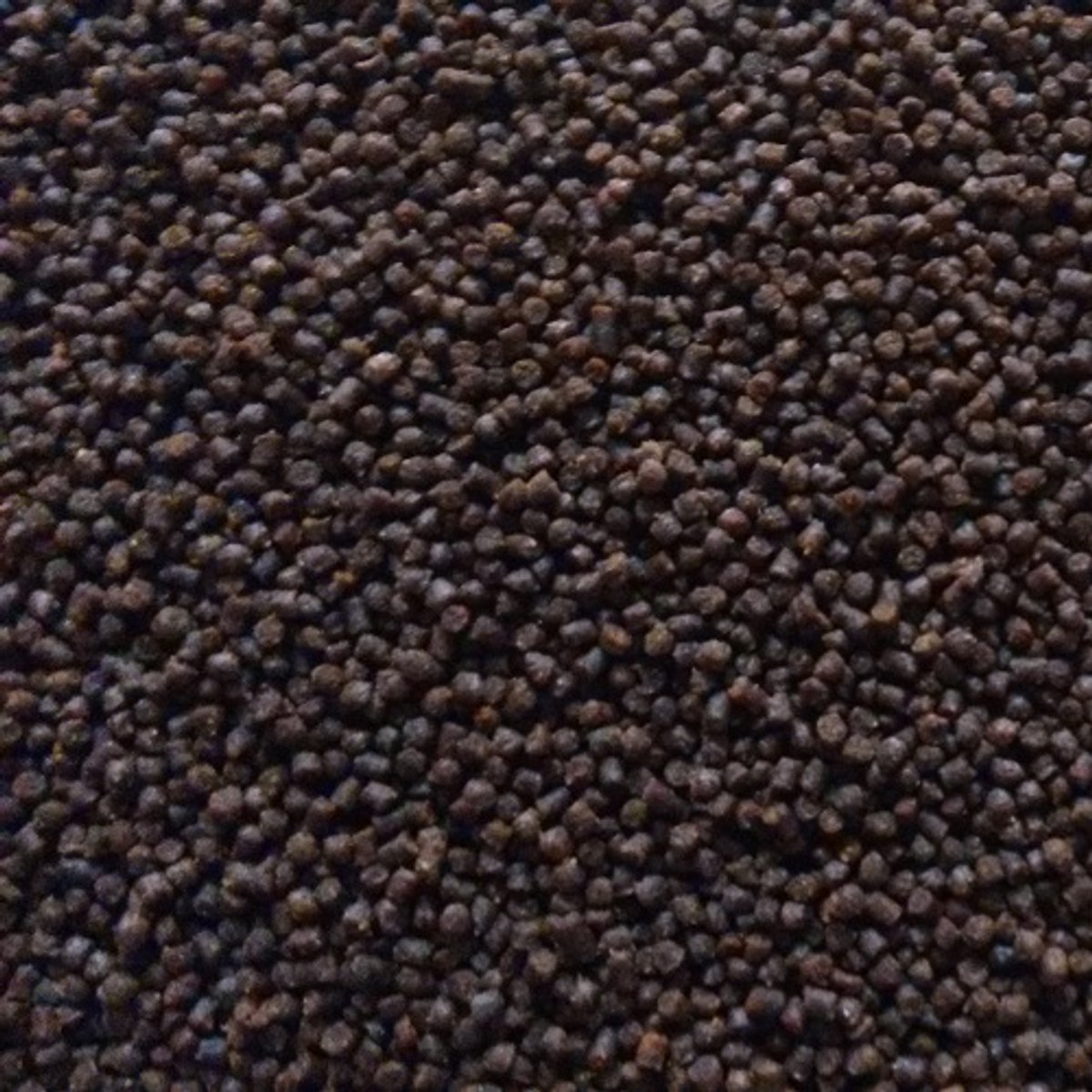 Oswalt Goudviskorrels - 2.5KG - Vissenvoer
