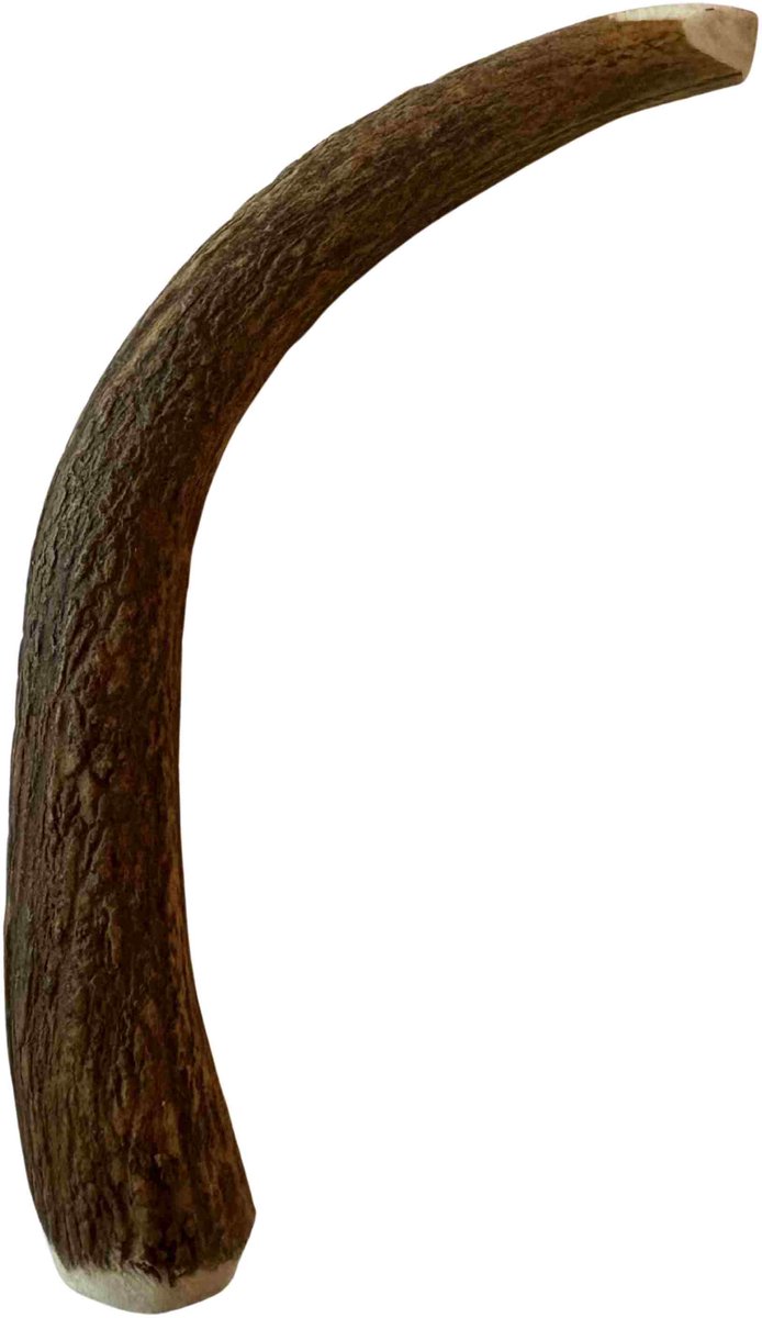 Damhertengewei - Hertengewei voor hond - hondensnack 100% natuurlijk maat M, 15-20 cm