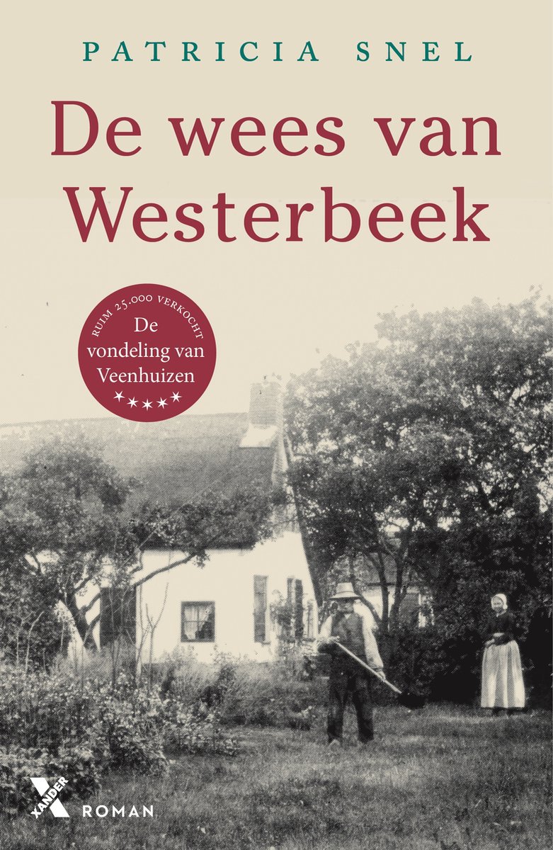 Omslag van De wees van Westerbeek