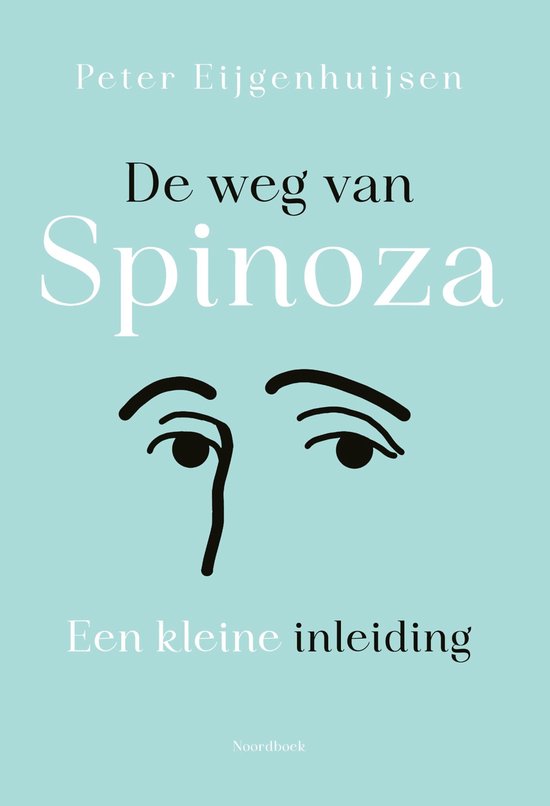 De weg van Spinoza - cover