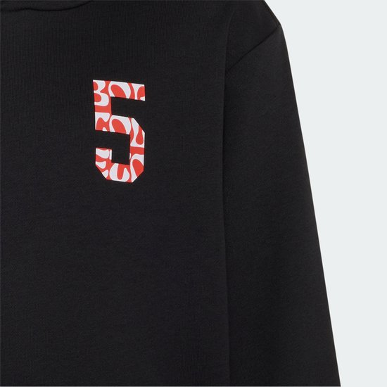 Adidas Performance Audi Revolut F1 Team Gabriel Bortoleto Graphic Ii Hoodie - Kinderen - Zwart van adidas Performance — afbeelding 3