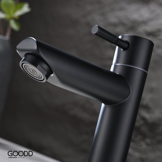 BaderiQ - robinet fontaine - robinet WC - Frejus - noir mat - eau froide - mitigeur monocommande
