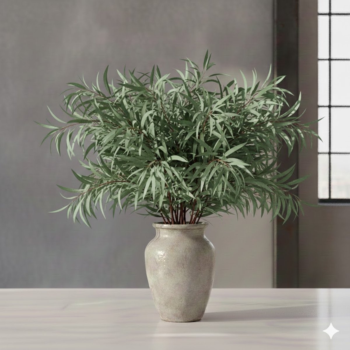 Verse Eucalyptus Nicollii | 300 gram per bos | Lengte 65 - 70 centimeter | Per bos