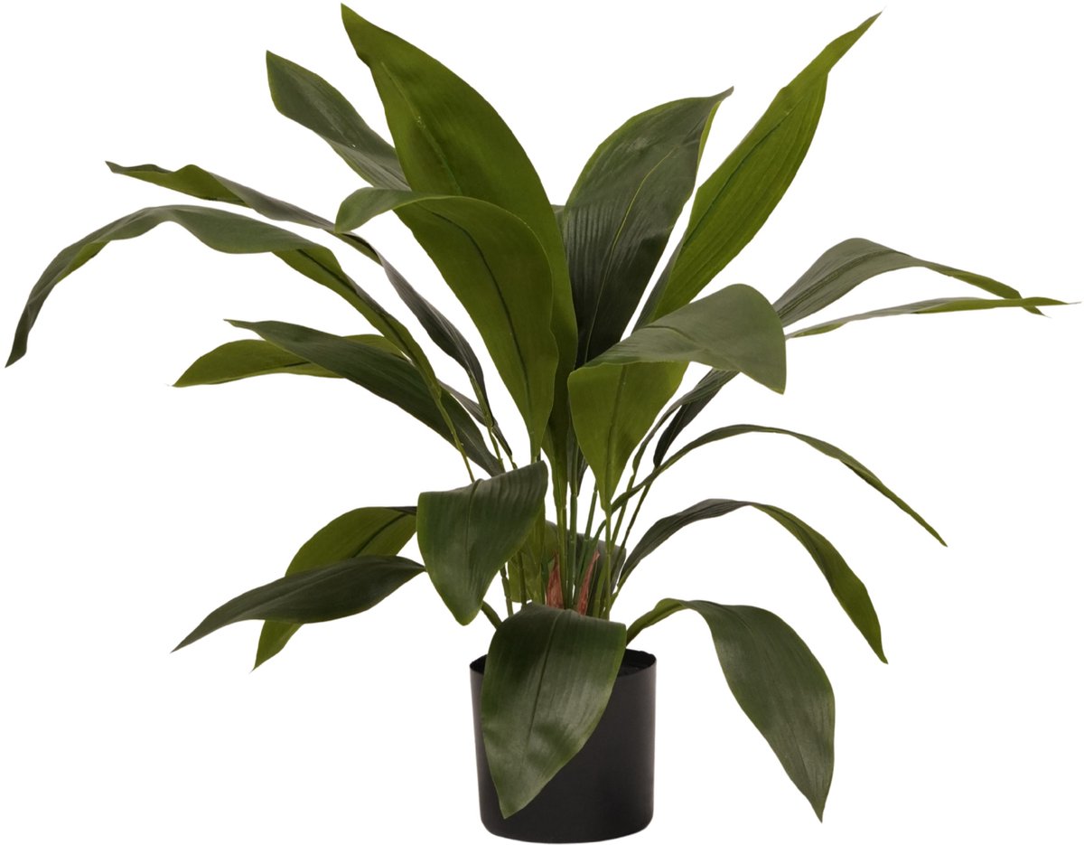 Kunstplant Aspidistra - Textiel / Metaal - Groen - 70x70x70 cm (BxHxD)