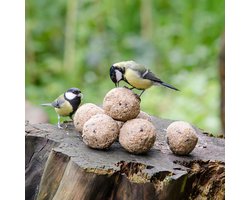 CJ Wildlife - 6x Vetbollen met insecten - 35% vet - Zonder netje - Jaarrond inzetbaar - Voor tuinvogels