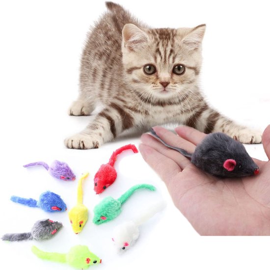Kitten met zeven gekleurde pluche muizen. Een grijze muis wordt in een hand getoond.