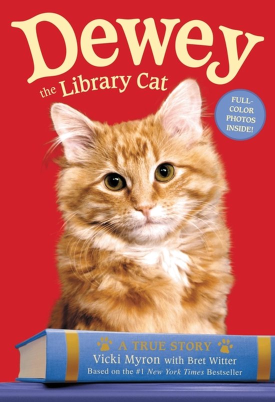 Dewey The Library Cat A True Story